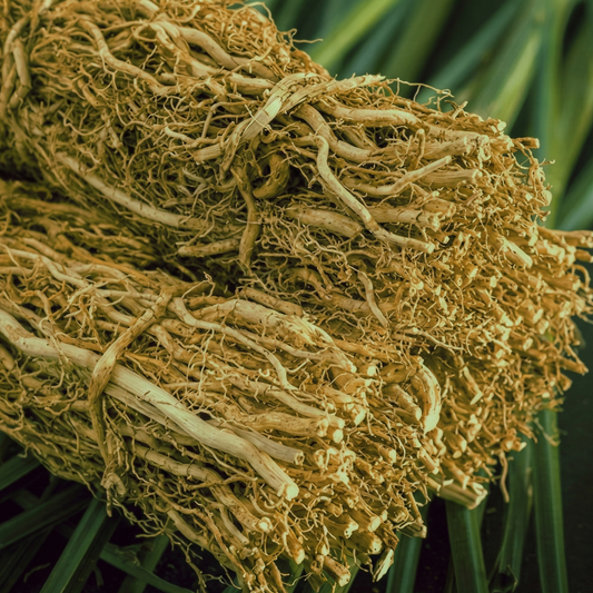 Vintage Haiti Vetiver